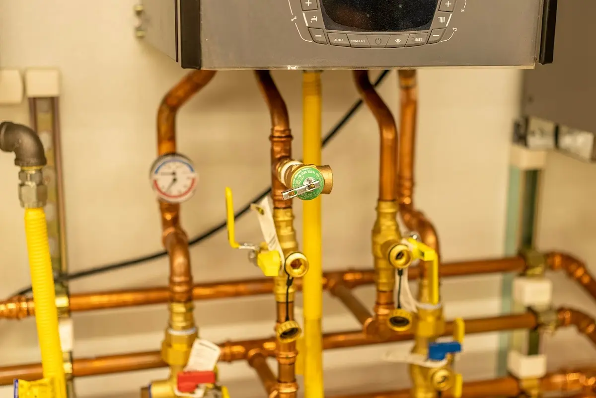 Licensed technician providing Sump Pump Repair for a homeowner in Anderson